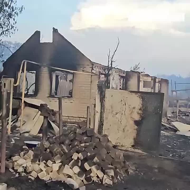 ОПЕРАТИВНАЯ СВОДКА. Ситуация с природными пожарами Все природные ландшафтные пожары на территории ЛНР локализованы - в Станично-Луганском, Северодонецком и Новоайдарском округах