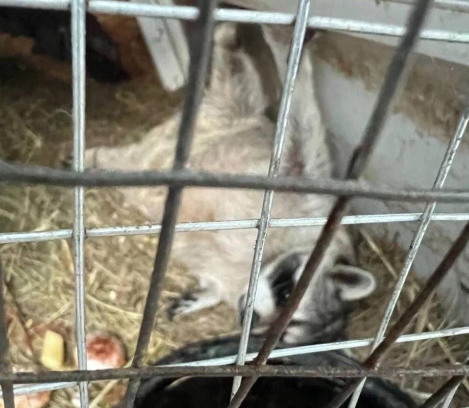 �� �������� ��������� ���� ������, �� ���������� ������� ������ ��������