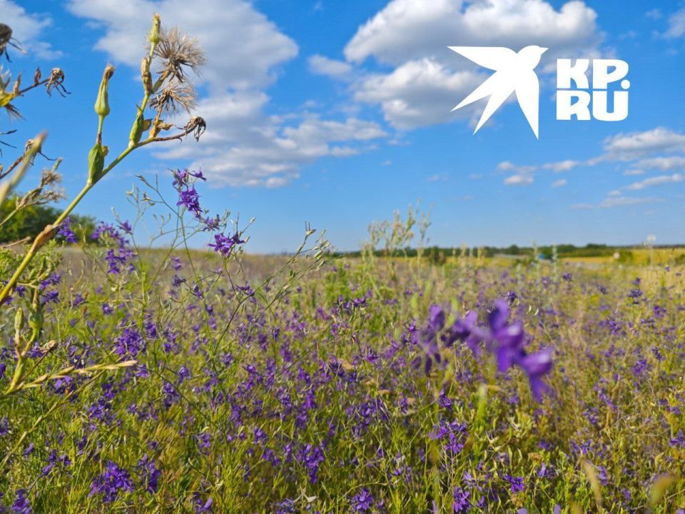 ��� �� �������, ��� �������