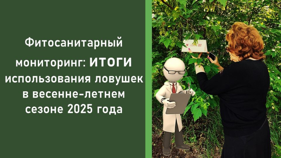 ���������� ���������� ���������� � ���: ������ ����� ������ 2025 ����