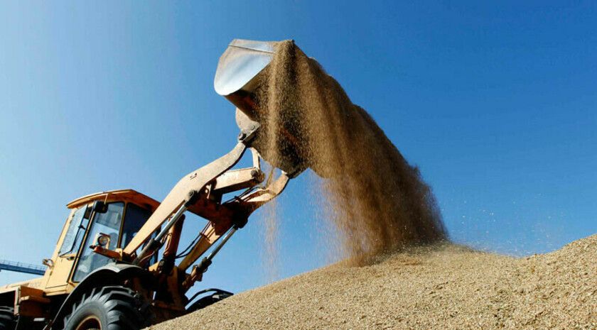 ����� �������: ��� ���� ���������� 15 ����