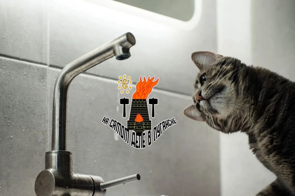 ����������: � �������� ����� �������� ����