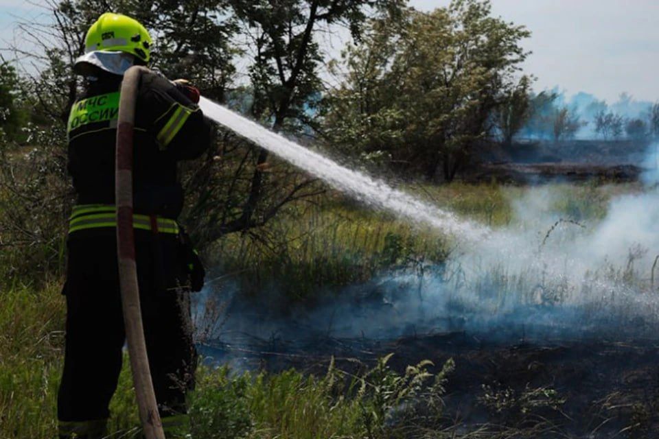 ������� ����� ������������� ������� ������ � ���