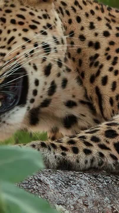 ������� �������� ����, � �� �������, ��� ������� ����