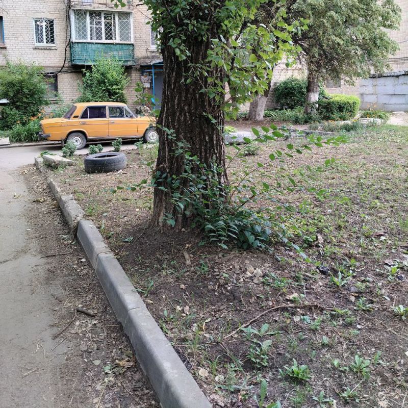 ������� ������� �� ���������� ����������� � ��� ������ ����, ������������ �� ����������� ������� � �������� � ���������� �����