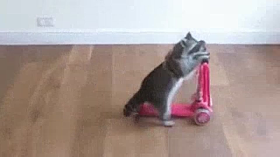 �������� � ������ - � � � ?