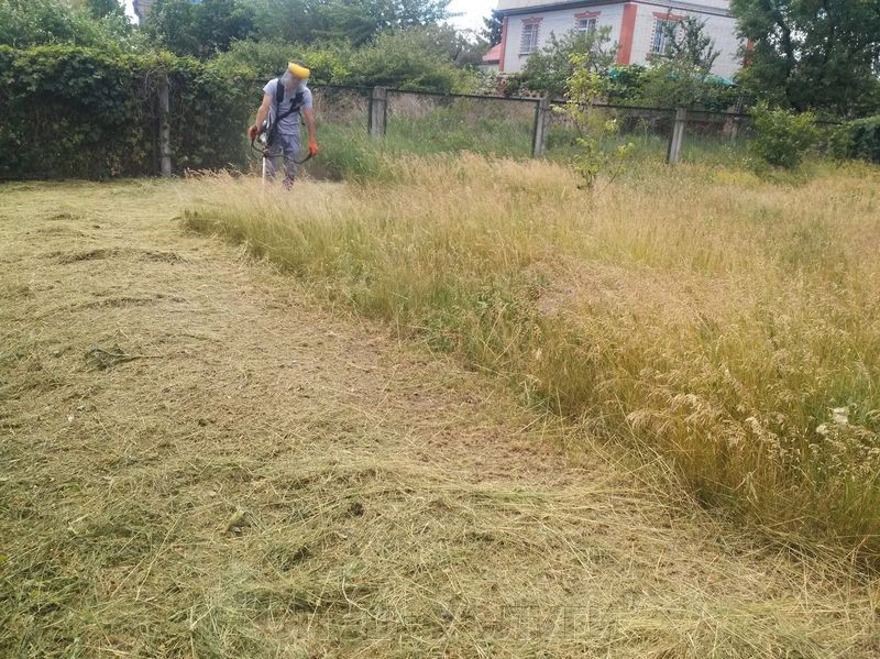 ������������� ������� ���������� ���������� �� ���� ���������� � �������� ��������� ������� ��������������� ���������� �������� � ������������ ������� ����� ����� �����