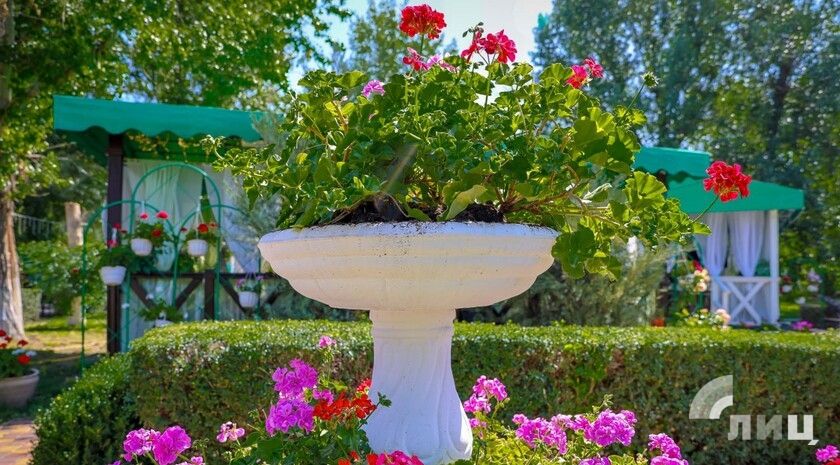 ��������� ������������ 17 ���� � ��� �� 37 �������� ����, ������� ����� � ������