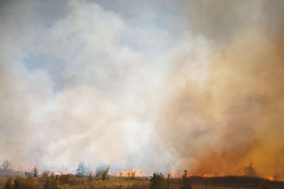 �� ����� � ��� �������� 21 �����