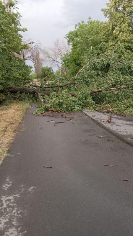 ����������� �������������� ������������ �������� ���� ���������������� ����� ��������� ������