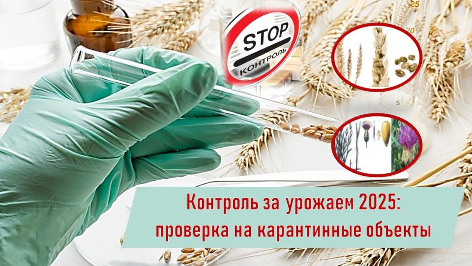 ������-2025 ��� ���������: �������� ����� �� ����������� ������