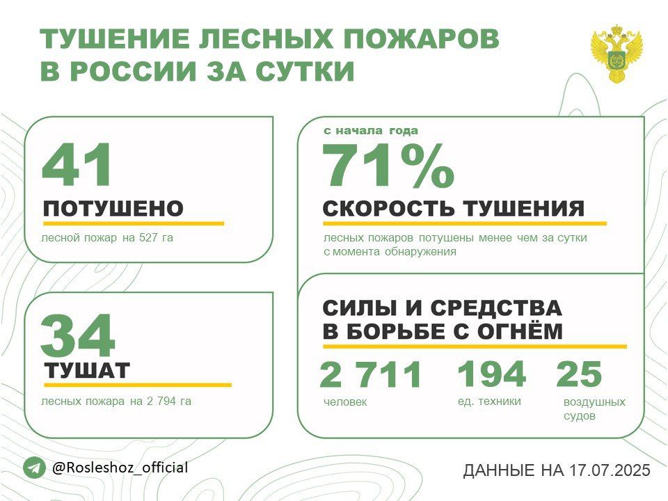 �� ��������� ����� � 13 �������� ������ �������� 41 ������ �����