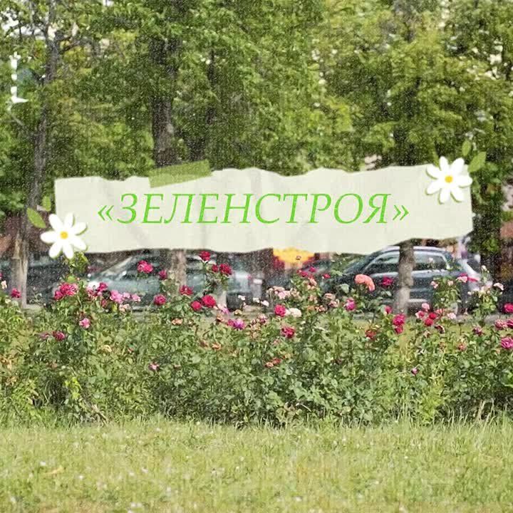 ����������� ���������� ��������������� ����������