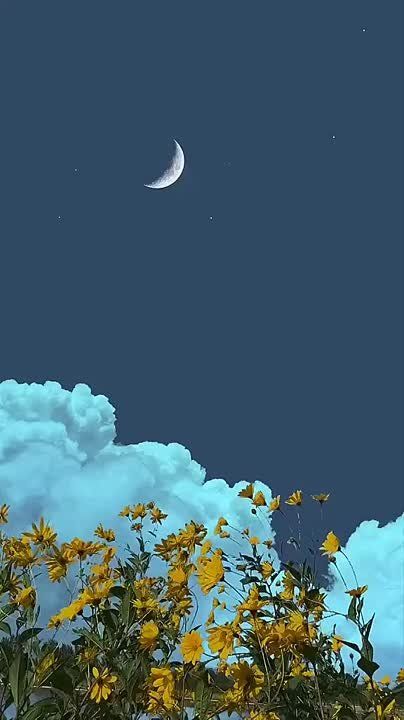 ����� �����, ������� �����, ��� �� ���� ������ �����, ��� ��� ��������� �� ������ ���� ��������� ����� �����������-���������, ��� ������� � ���� ������ ���������� �� �����, ��������� �����