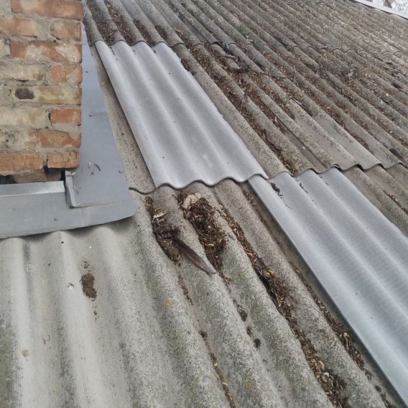 ����������� �������� ������� ���������� �������� ����������� ����! ��� ������ ����������� ����� ��� ����������� ���������� ������� ����������