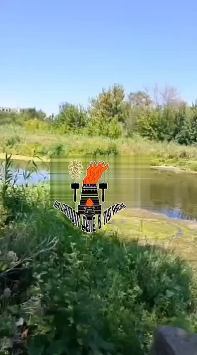 ������� ����������. ������ ������� ������� ������ ����������� � ���� ������