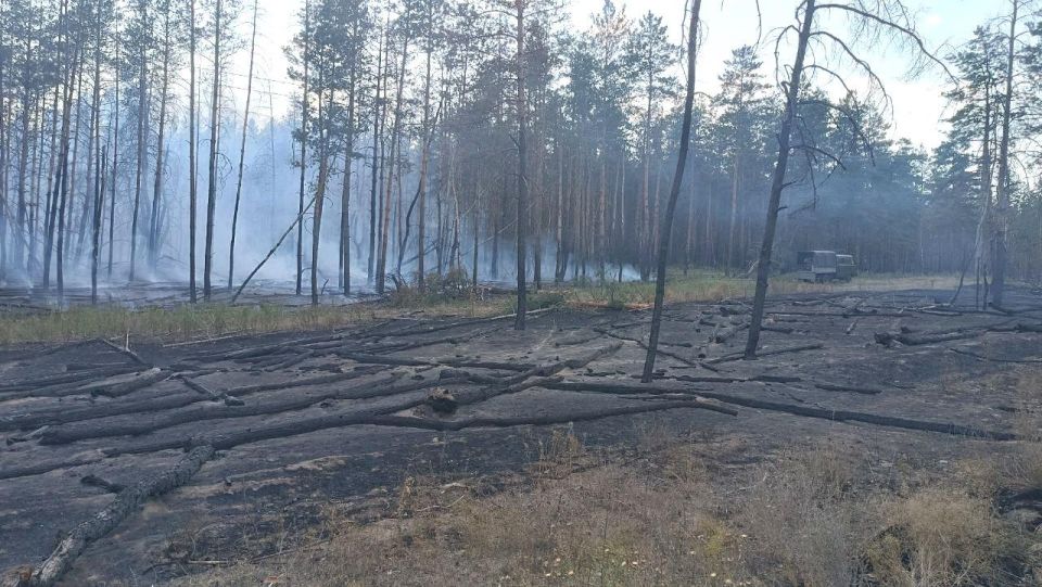 ��������! � ��� ����������� ������� ���������������