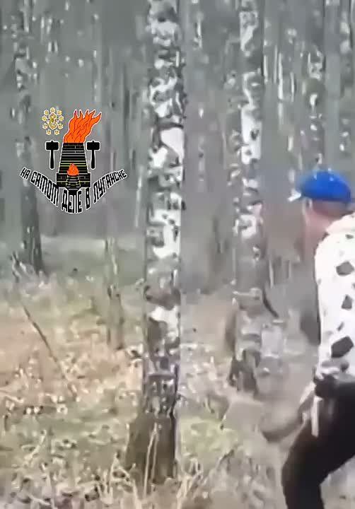 ��� ��������� ����� ����� ����� ����������� ������ ������, � ������� ���������� ��������� �������� �� ���������� ������� ������, ��� "������������� ������ ������"