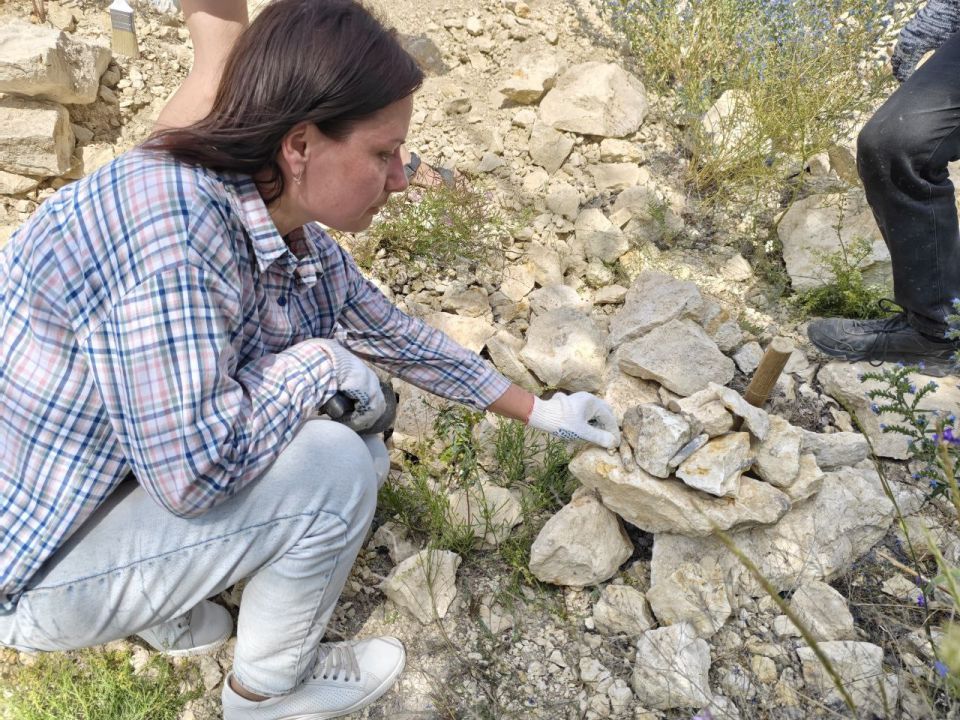 � ��� �������� ��������� ���������� ����������