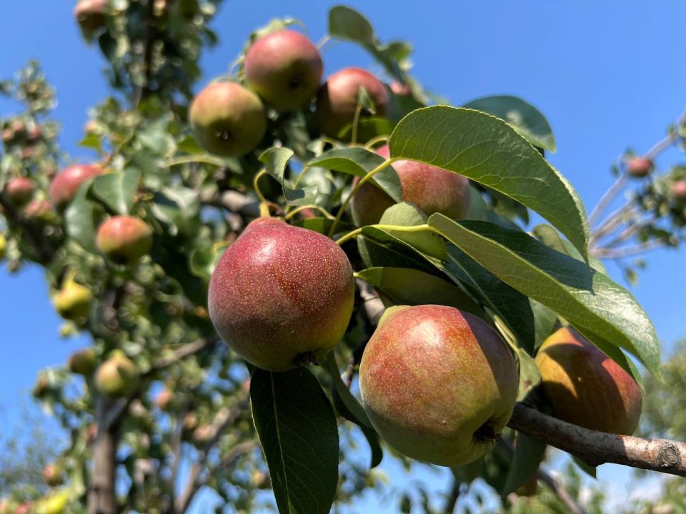 � ��������� ����� ����� ������ ����� � ����