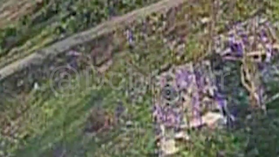 ���� ����� �������� ��������� ����� ���������� ���� ������������