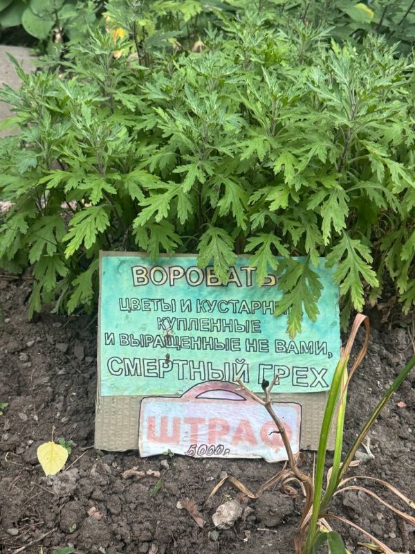 ������� ��������� ������. ����� ����� �������� �������� ����� ����� �� ���������