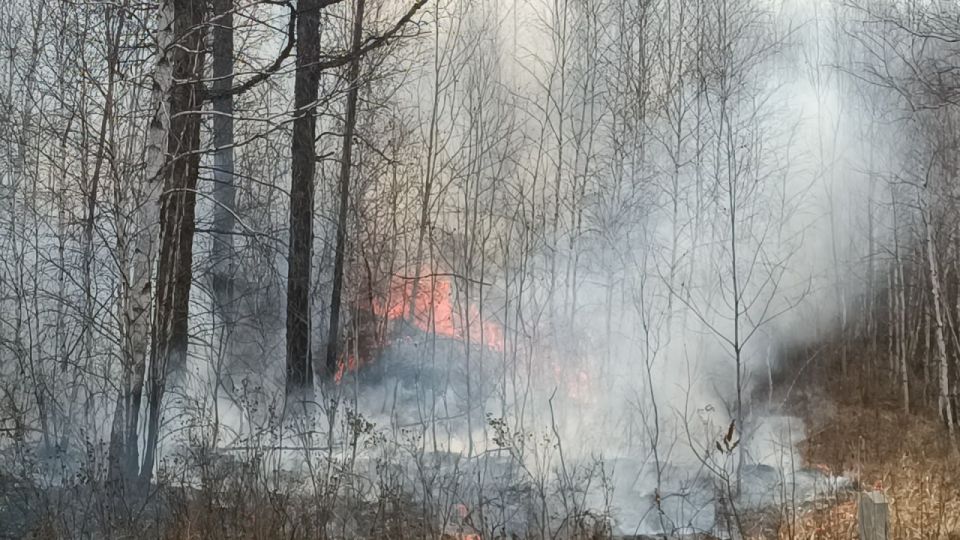 � ��� �������� ����� ����� �������� ���������