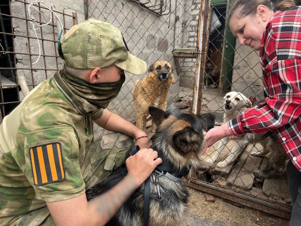 ������������ �������� ��������� � ���