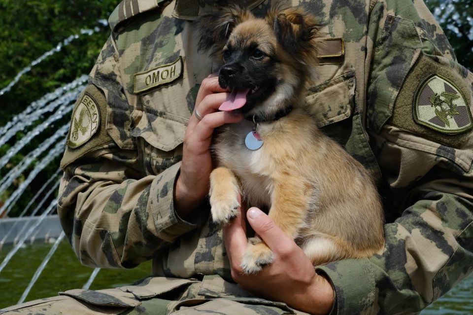 ����� ����� ���� �� �������