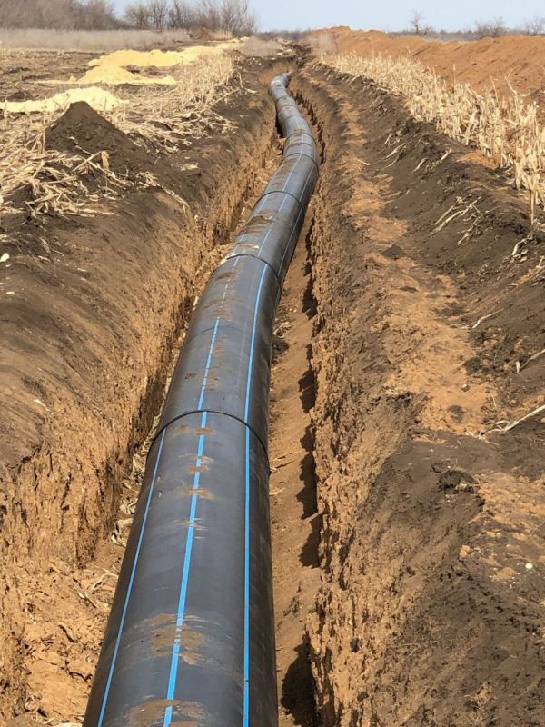 �� 2030 ���� � ��� ����������� �������� ����� ���������� ������������