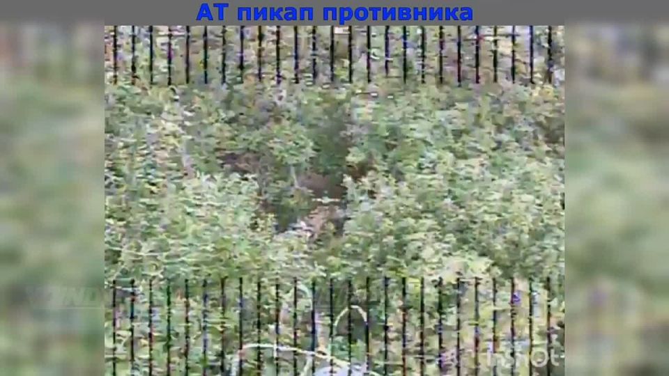 ��������� 29 ����� ����������� ����� "������" ���������� ��� ������� ������