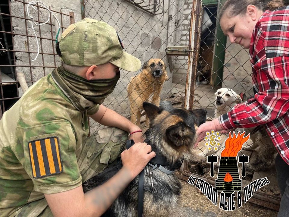 ������������ �������� � ��������� ����� ����� ��� �������� "������ �����"