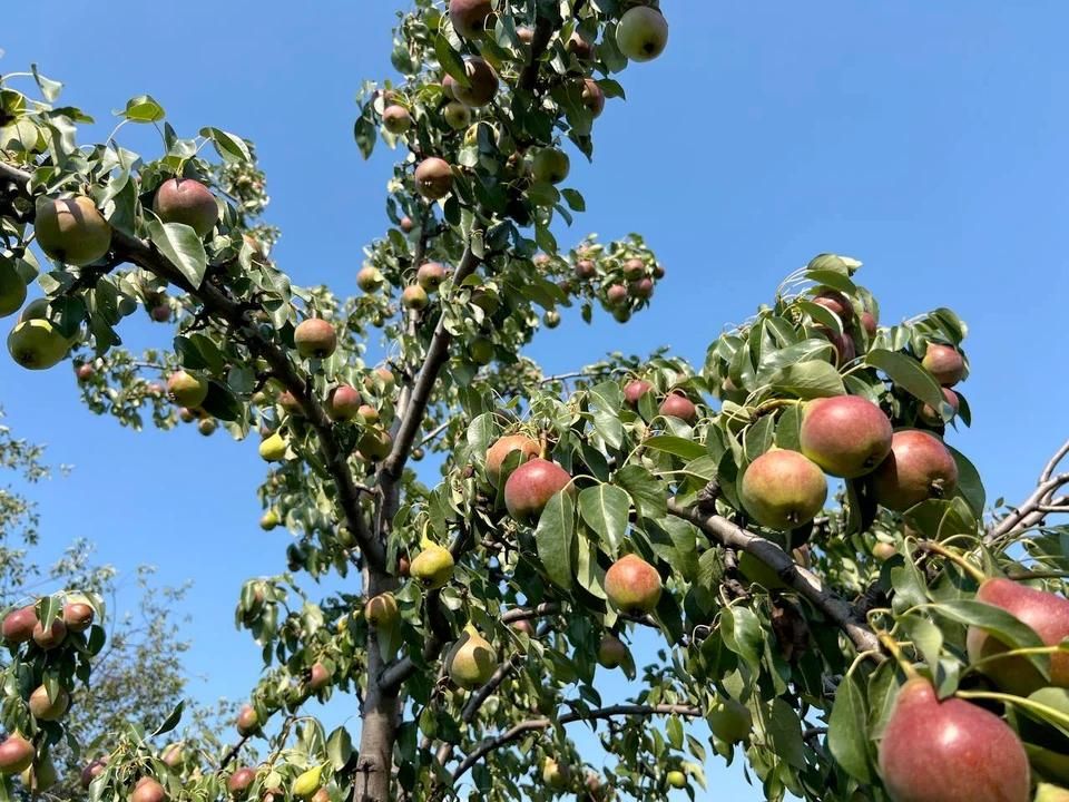 ����� � ����� ������������ ��������� � ��� 21 ����