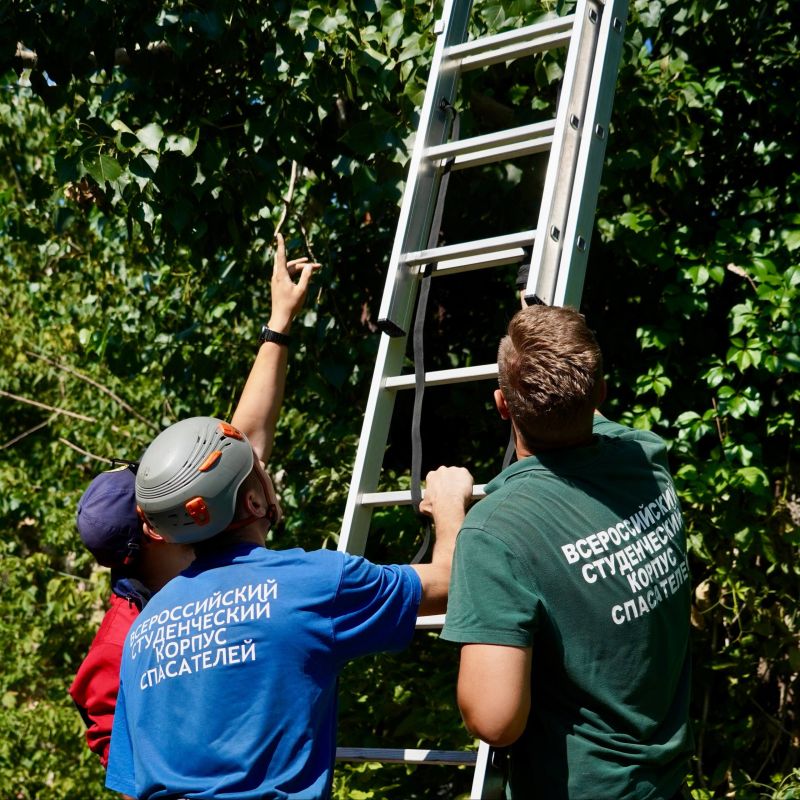 ���������� ���� ������ � ������ �����