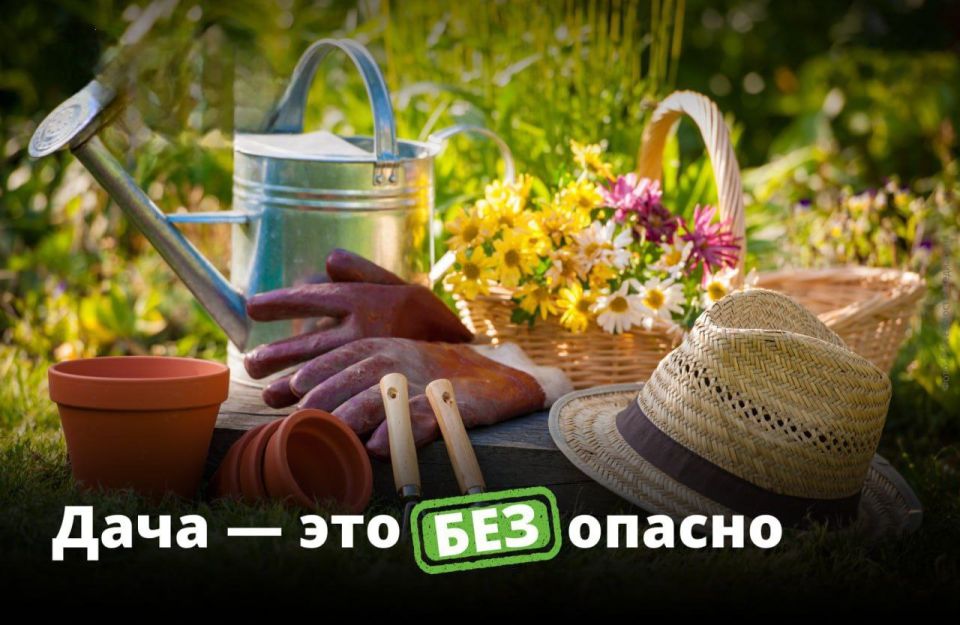 ��������� ����! ������� ������ �����, � �� ������� ������ ���� ��� ��������: ��������, ��������, ���������, ��������