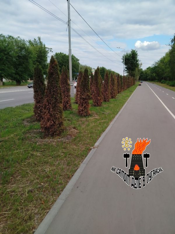 ���, ���������� ����� ���������, ������� ������