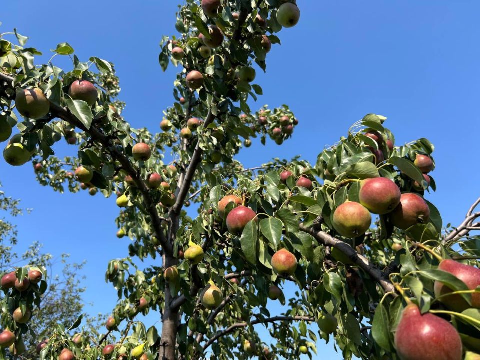 � �������� 23 ���� ��������� ���� � �����