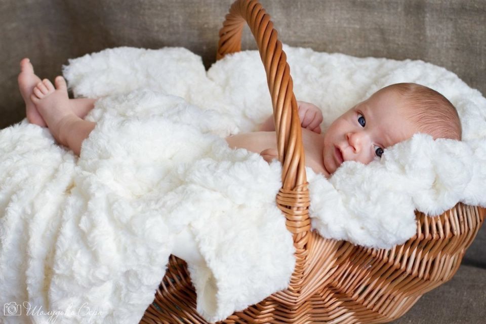 44 ������ �������� � �������� �� ������� ������