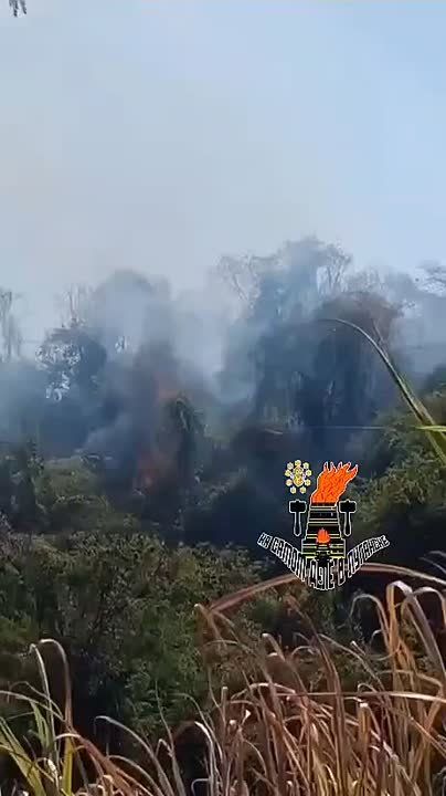 � ���� �� 24 ���� �� ������� ����� ��������� � ��������� �������� ����������� ����� ��������������� ���������� ����� �� ������� �������