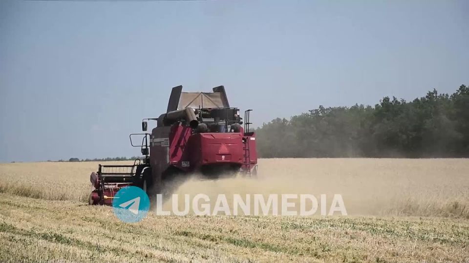 � ��������������� ������ ������������ ��������� ��������