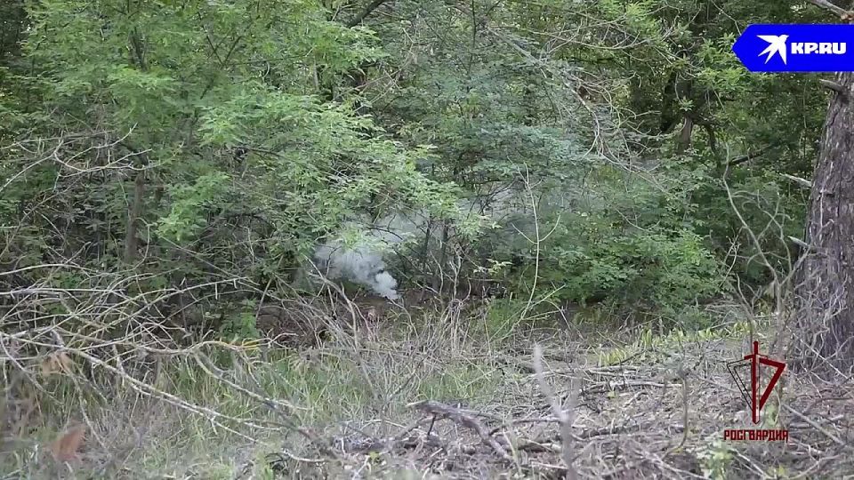 � ��� ���������� ���������� � �������������� ��������� ���������� ��������