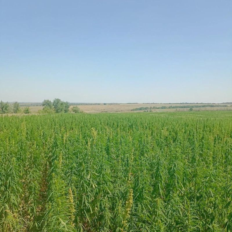 � ��� ���������� ���������� � ����������� �������