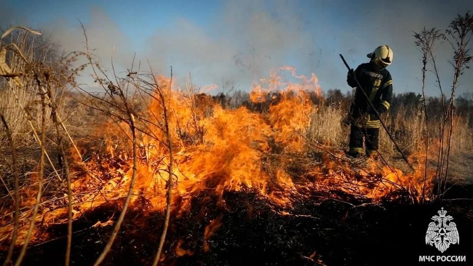 �� ����� � ��� �������� ����� 38,8 �������� ��������������