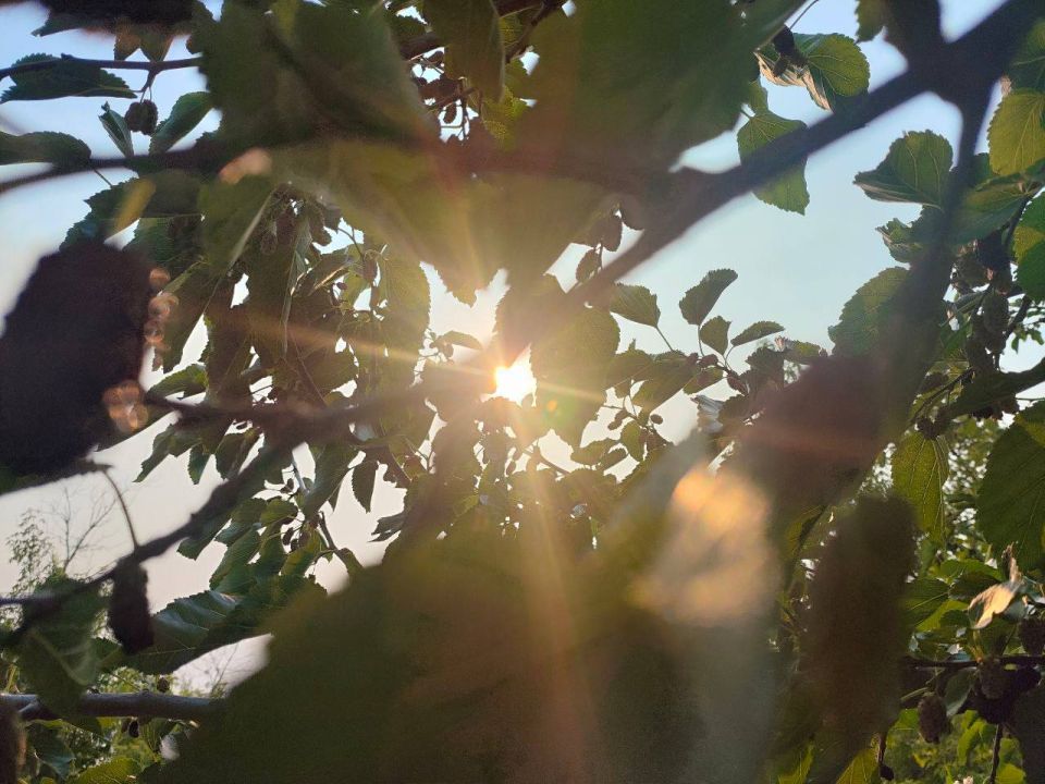 25 ���� � �������� �������������� �� 31 ������� ����