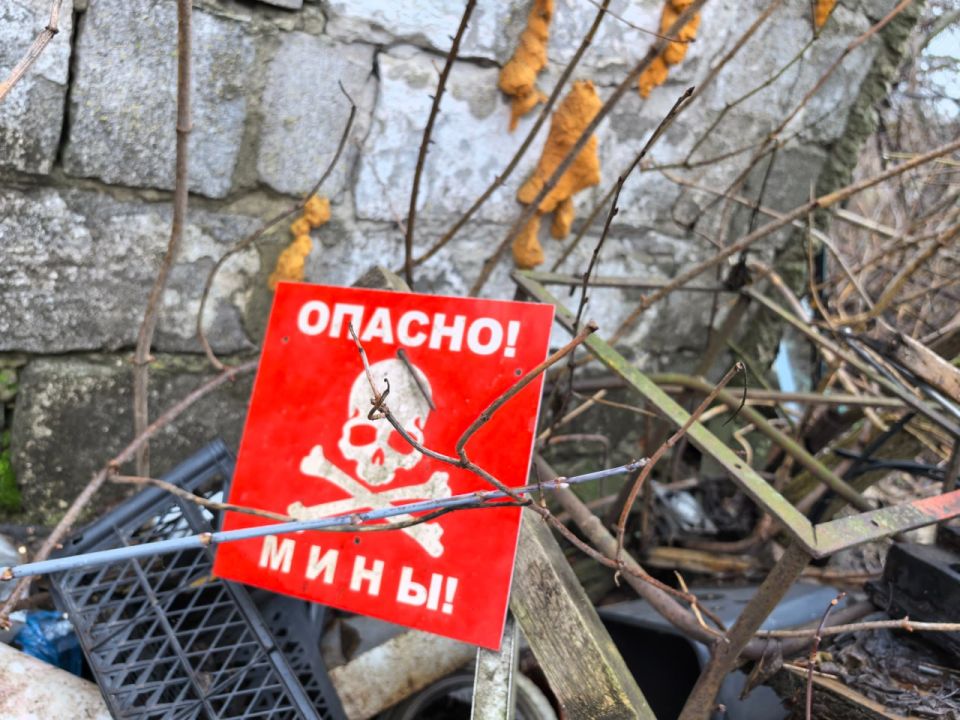 ������ ������������� ��������� ����������� � ��� �� �����