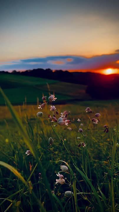 �������� ������. ����� ������� ���������� �������� �����