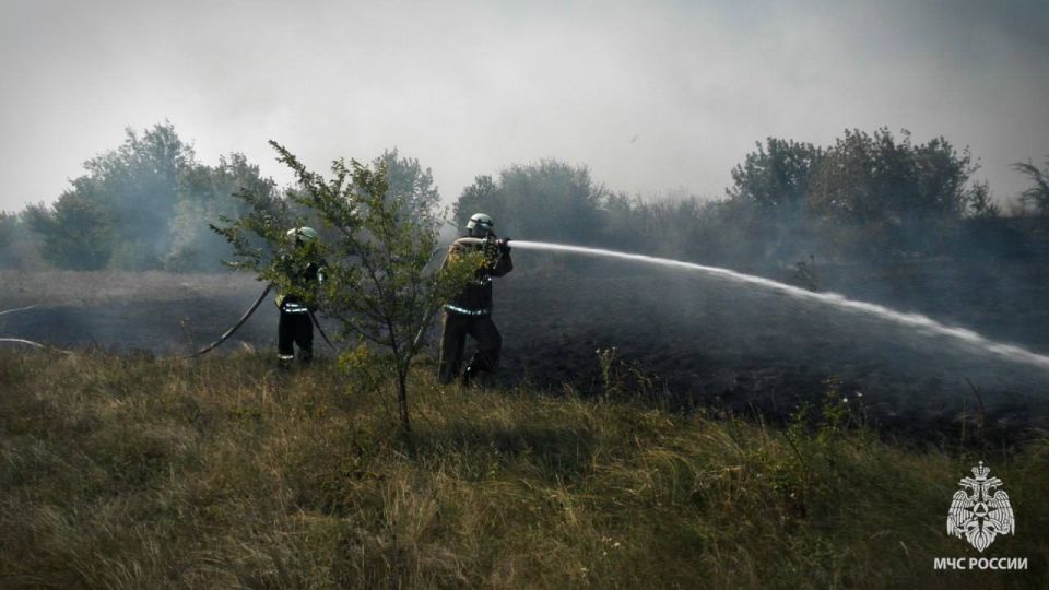 ��������� ��� ������ ����������� ����� � ����������� ������, �������� � ��� �� �� ���