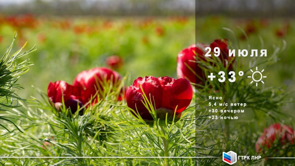 ������ ����, ��������� �������� ����������!