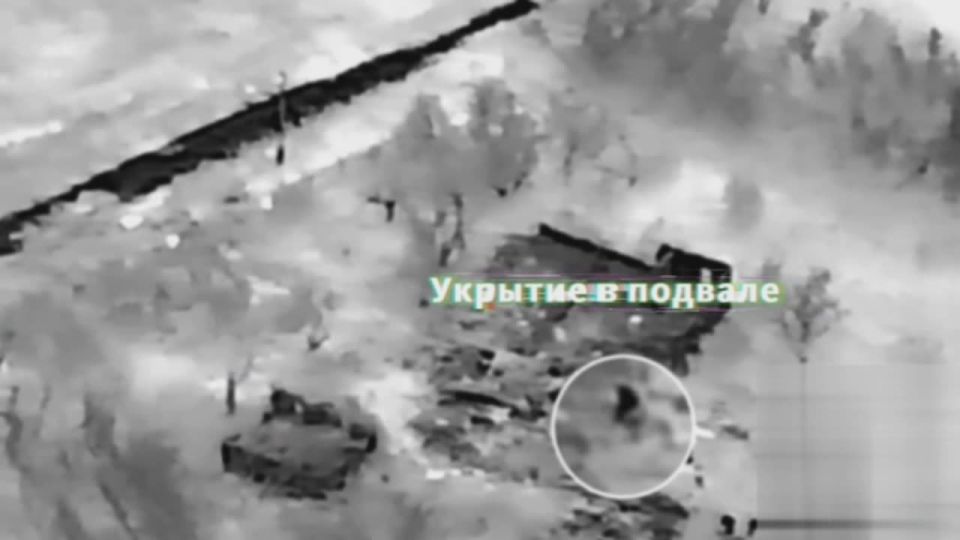 25-� ������� ��� ������ ���� ������� � ������ ������ ���