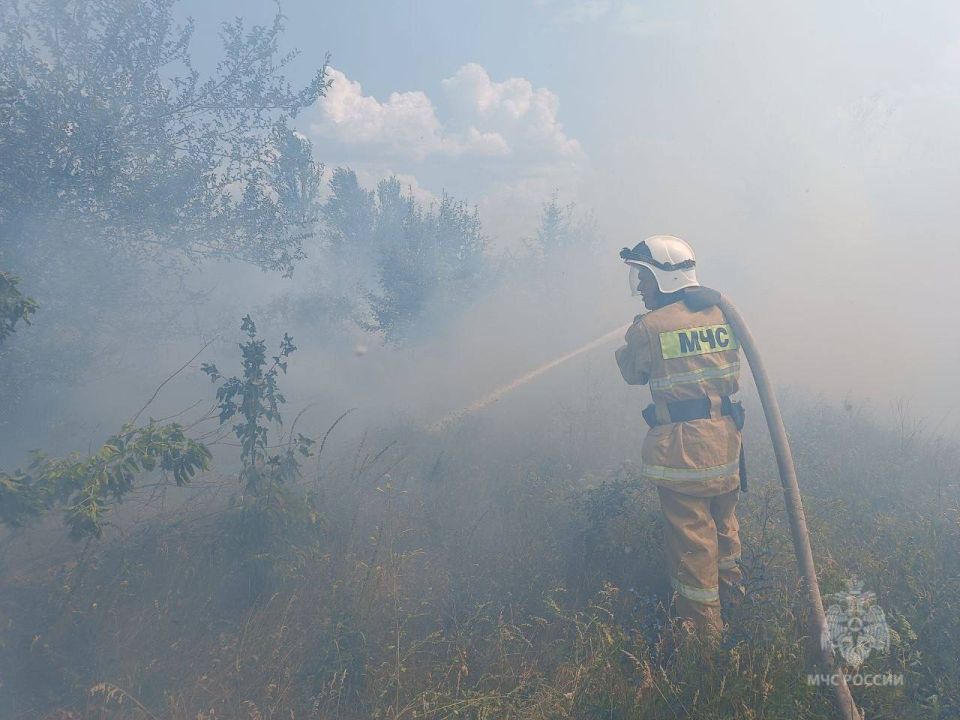 � ����������� ������ ����� ����